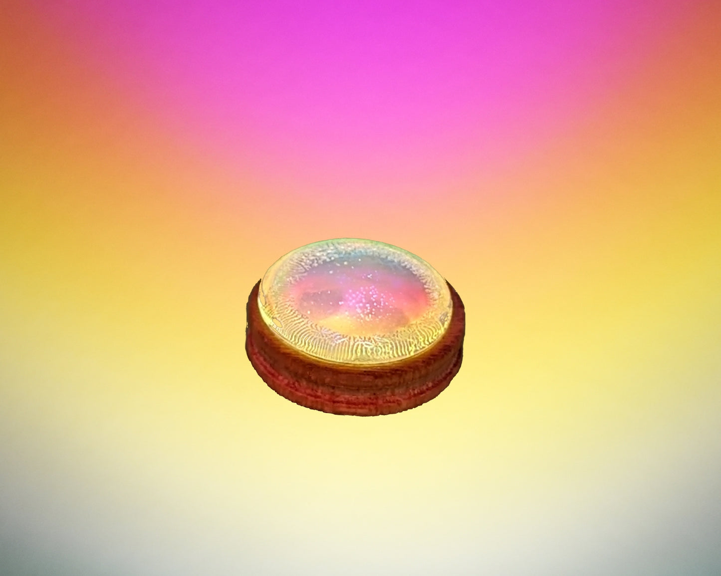 Rainbow Color
